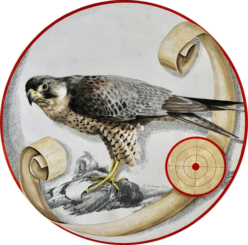 jagdscheibe falke