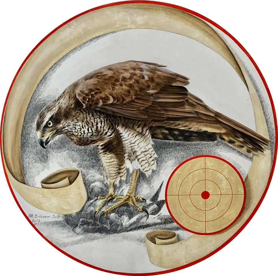 jagdscheibe habicht